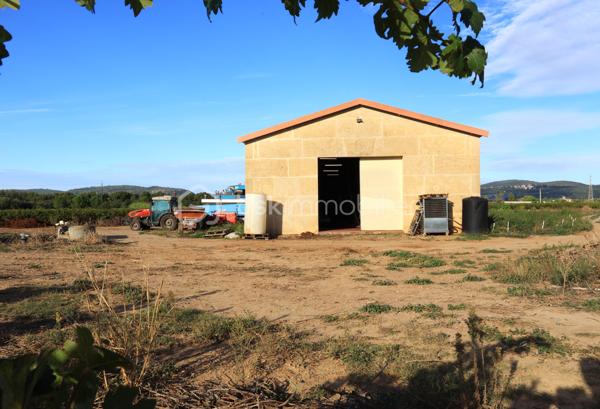 Terrain viticole de 87 173 m²