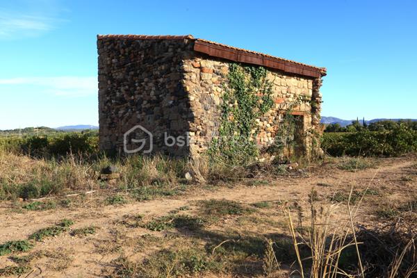 Terrain viticole de 87 173 m²