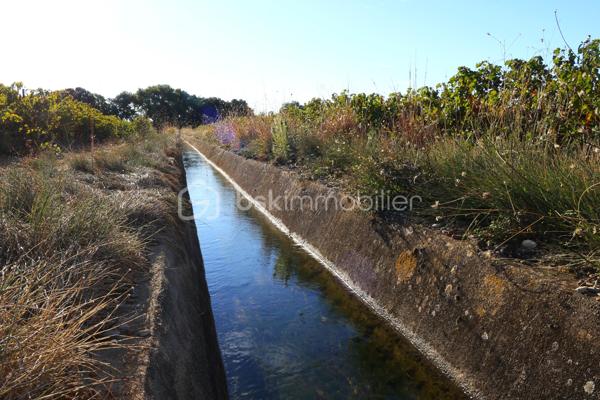 Terrain viticole de 87 173 m²