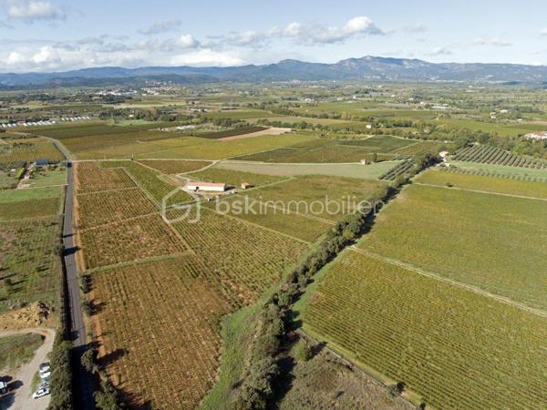 Terrain viticole de 87 173 m²