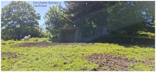 Propriete à vendre 5 pièces ARCONSAT (63)
