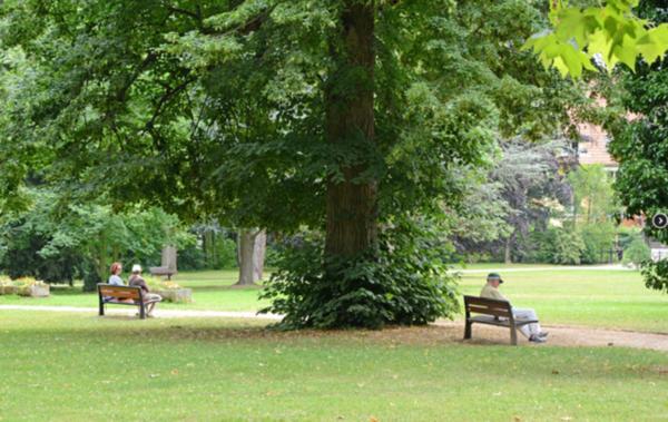 à OBERNAI (67) face au parc, dans un cadre de vie exceptionnel