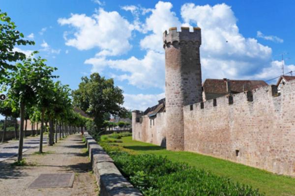 à OBERNAI (67) face au parc, dans un cadre de vie exceptionnel
