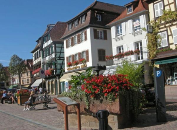à OBERNAI (67) face au parc, dans un cadre de vie exceptionnel