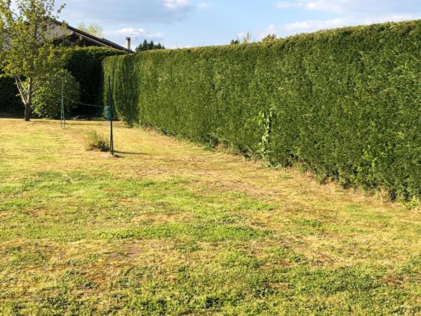 Terrain Montignac Lascaux 1052 m2