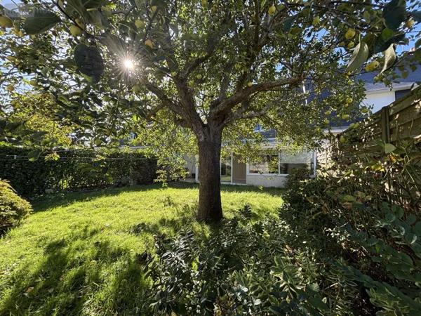 Achat - Maison Ploemeur 56270 5 pièces 89 m 2 294 m 2