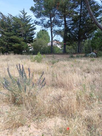 Terrain constructible de 597 m2 à Saint-Jean de Monts - 135680  TTC