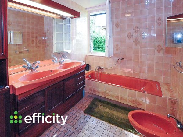 Maison 5 pièces - 365 m² Bien prestige