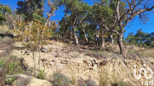 Terrain à vendre 18 305 m² Arles-sur-Tech