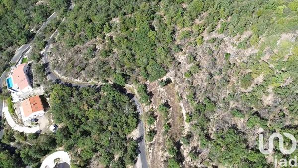 Terrain à vendre 18 305 m² Arles-sur-Tech