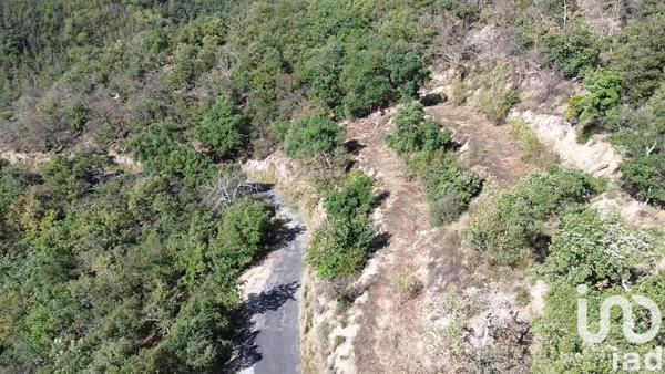 Terrain à vendre 18 305 m² Arles-sur-Tech