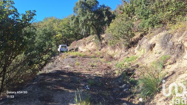 Terrain à vendre 18 305 m² Arles-sur-Tech