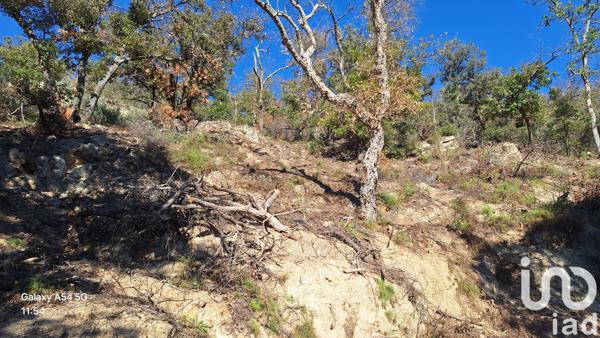 Terrain à vendre 18 305 m² Arles-sur-Tech