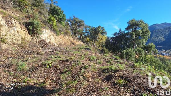 Terrain à vendre 18 305 m² Arles-sur-Tech