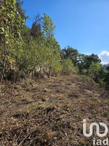 Terrain à vendre 18 305 m² Arles-sur-Tech