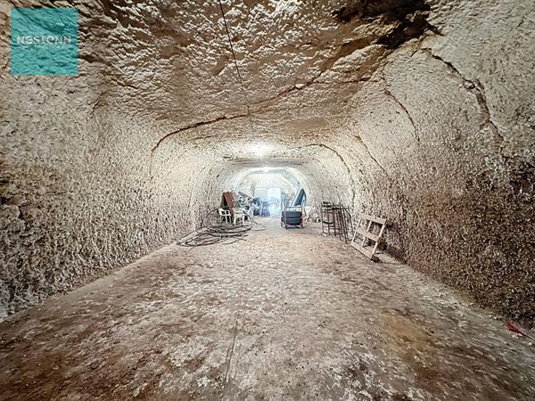 Longère Poce Sur Cisse 162m² habitables avec piscine