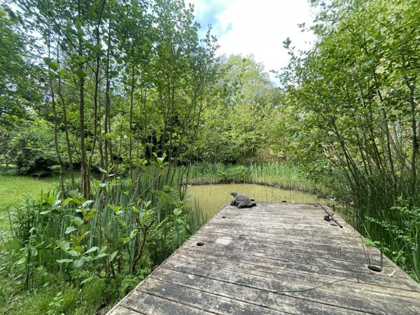 Maison à vendre à La Haye (50250) - Manche