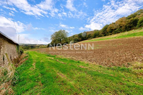 Vente d'une bâtisse en pierres avec dépendances 15000 m² de terrain en campagne du Gouray