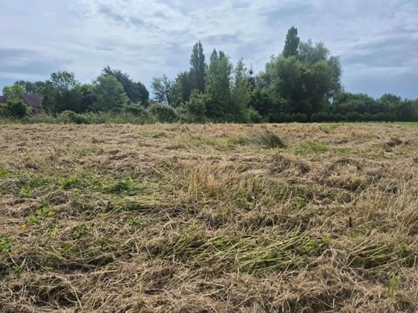 Terrain à vendre 1069m² Isbergues (62330)
