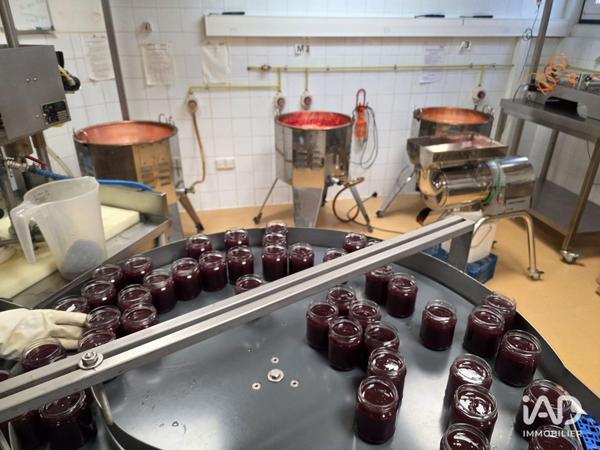 Boutique/Local commercial à vendre 220 m² Saint-Jean-Kourtzerode