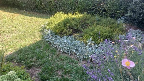 A vendre maison de plain pied Illkirch