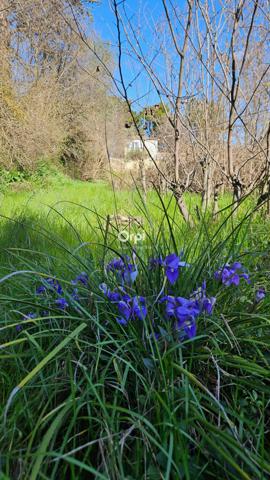 Terrain à vendre    Collias