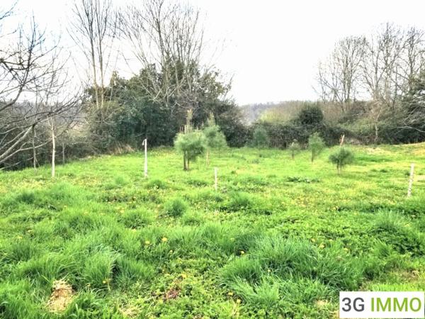 Vente / Corps de ferme