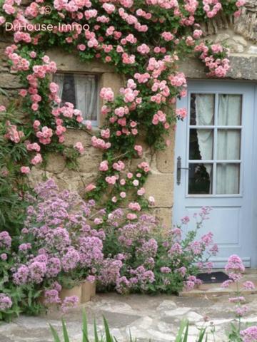 Maison à vendre 11 pièces de 330 m²