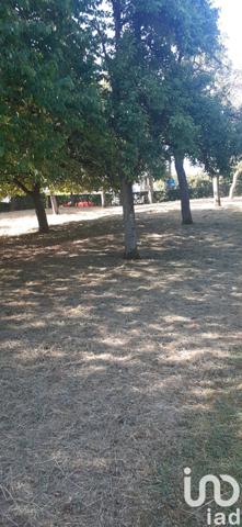 Terrain à vendre 979 m² Théding