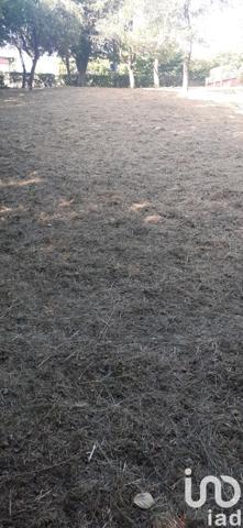 Terrain à vendre 979 m² Théding