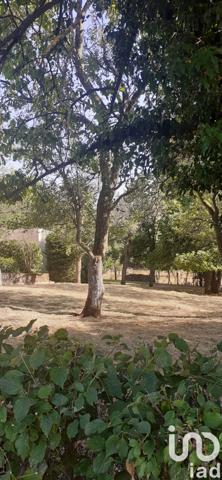 Terrain à vendre 979 m² Théding