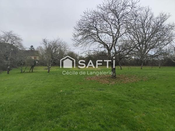 MAISON SUR UN BEAU TERRAIN DE 6829m² ARBORE FLEURI