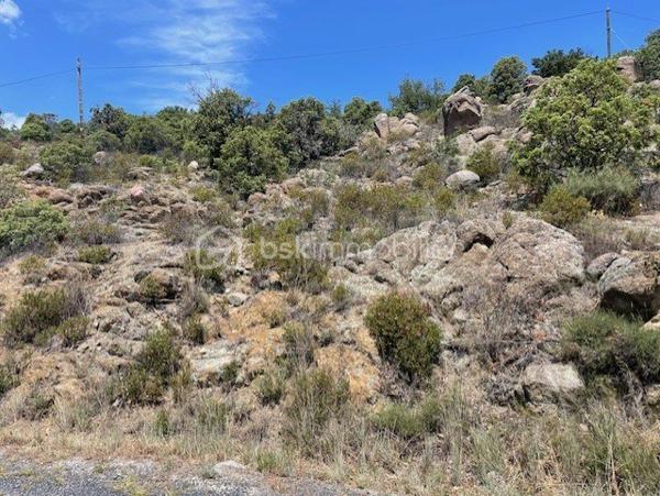 Terrain agricole de 2 533 m²