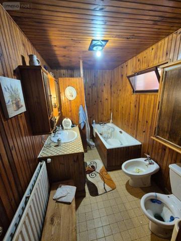 Maison à vendre à Neuvy-Saint-Sépulchre dans l'Indre (36230), ref : CG/386