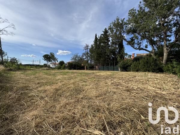 Terrain à vendre 813 m² Rivesaltes