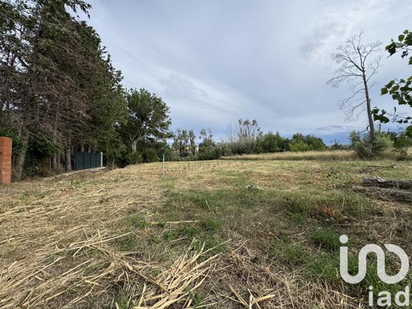 Terrain à vendre 813 m² Rivesaltes