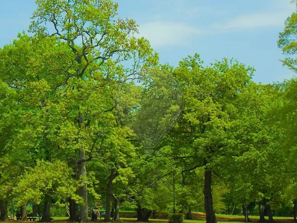 Appartement  en vente - Oise - 60