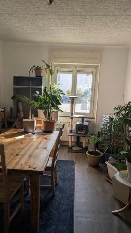 Lot de 2 appartements de type T3 loués dont un bientôt libre à 67300 Schiltigheim.