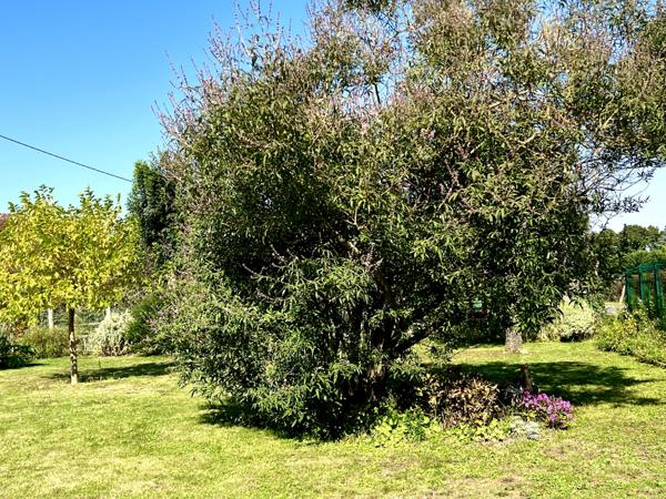 Berthenay (37510) Longère avec piscine BERTHENAY