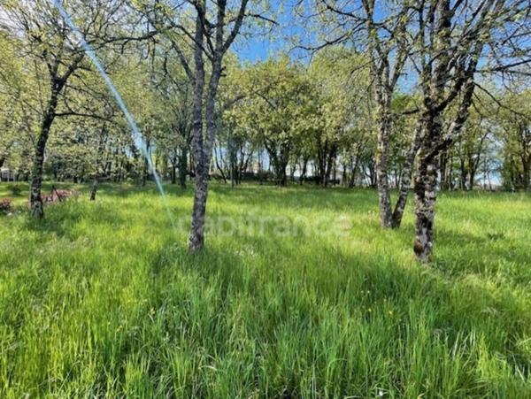 Terrain à vendre MARTEL (46)