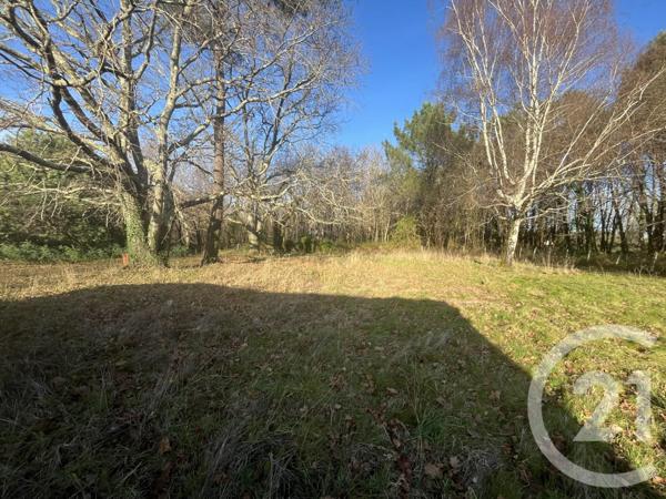 Maison à vendre  7 pièces - 100,85 m2 VENSAC - 33