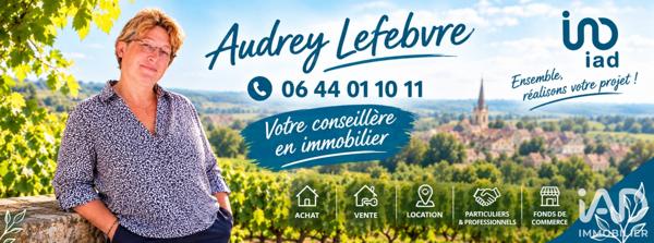 Boutique/Local commercial à vendre 101 m² Les Riceys