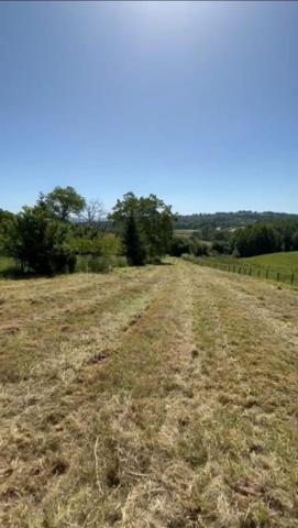 Terrain à vendre en Montagne Bourbonnaise