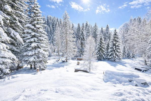 Appartement Duplex à vendre  5 pièces - 123,84 m2 MORZINE - 74