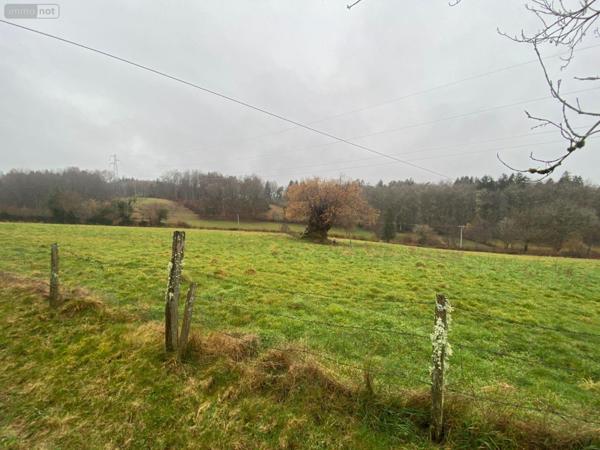 Maison à restaurer à vendre à Pleaux dans le Cantal (15700), ref : 15060/1254