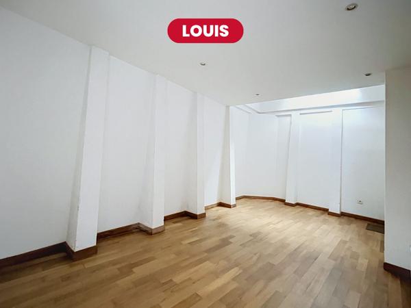 Louis - Loft de 191 m2 2 chambres + cave - Lille Centre
