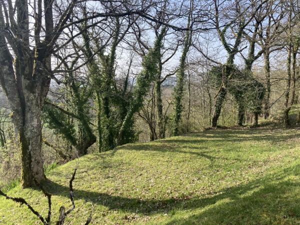 Montagrier (24350) Dordogne - Montagrier - Tocane - maison 155 m² - 5 chambres - terrain arboré 5000 m²