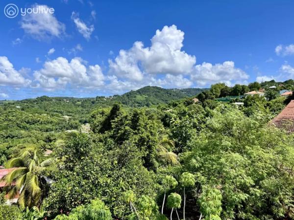 Villa T4 – Rivière-Salée – Sans Pareil -Vue campagne