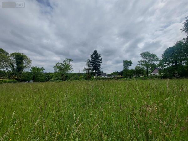 Terrain à Batir à vendre à Camors dans le Morbihan (56330), ref : 56040-624