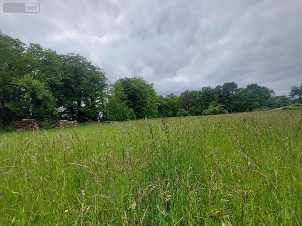 Terrain à Batir à vendre à Camors dans le Morbihan (56330), ref : 56040-624